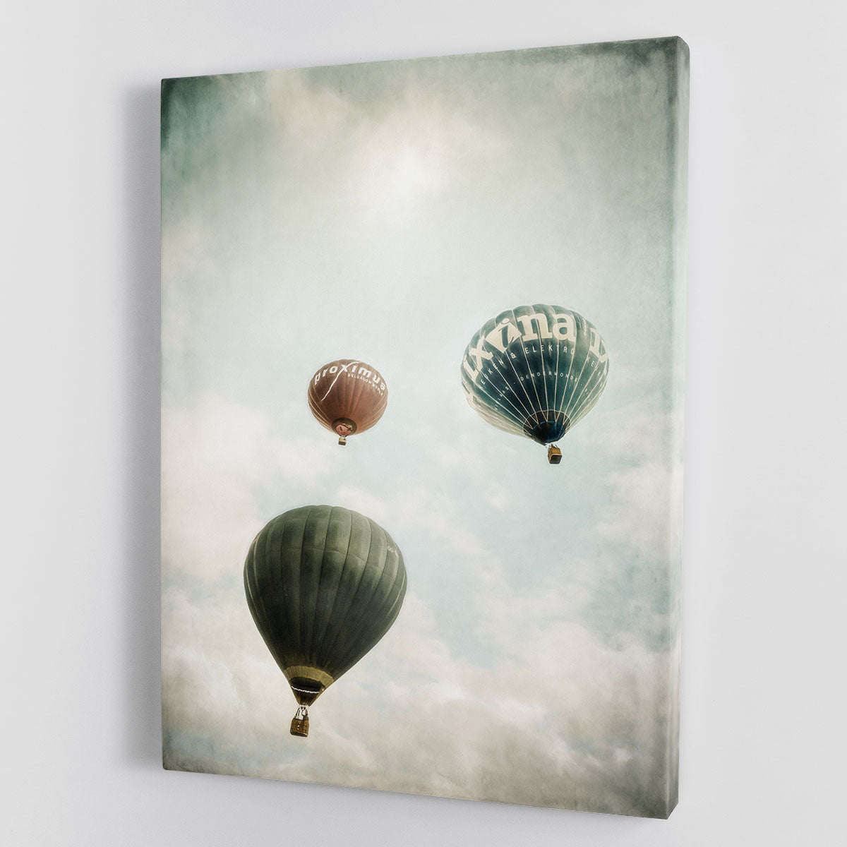 Freedom Canvas Print or Poster - 1x - 1