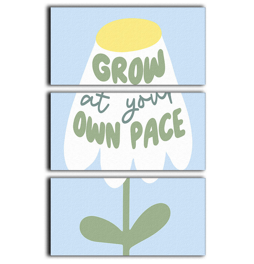 Grow At Your Pace 3 Split Panel Canvas Print - Canvas Art Rocks - 1
