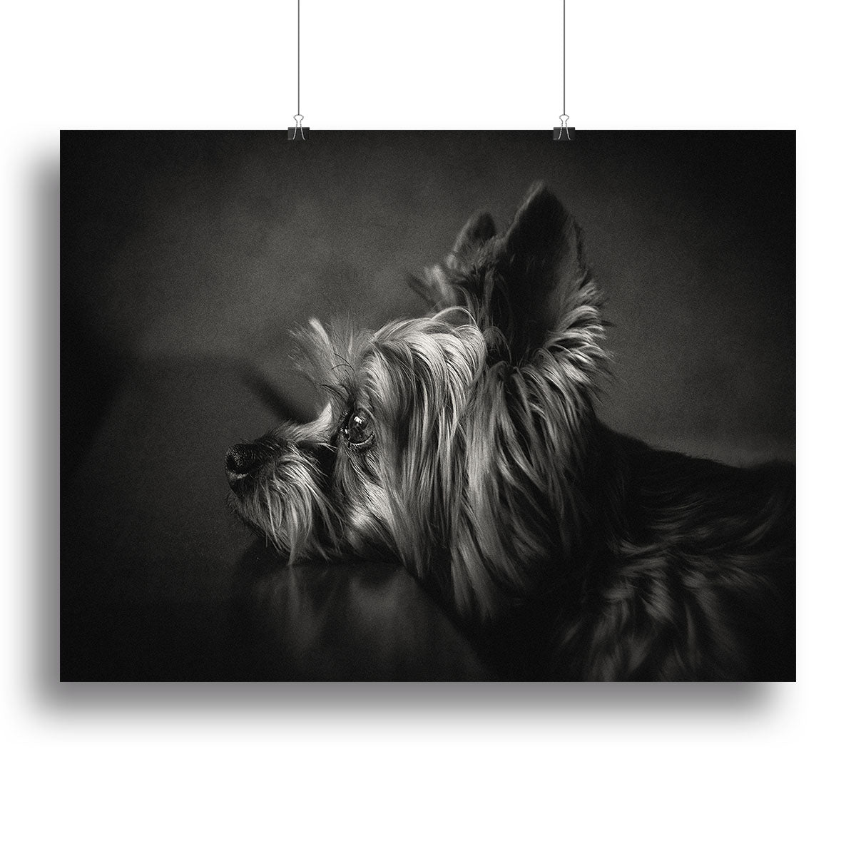 I have been waiting for you Canvas Print or Poster - 1x - 2