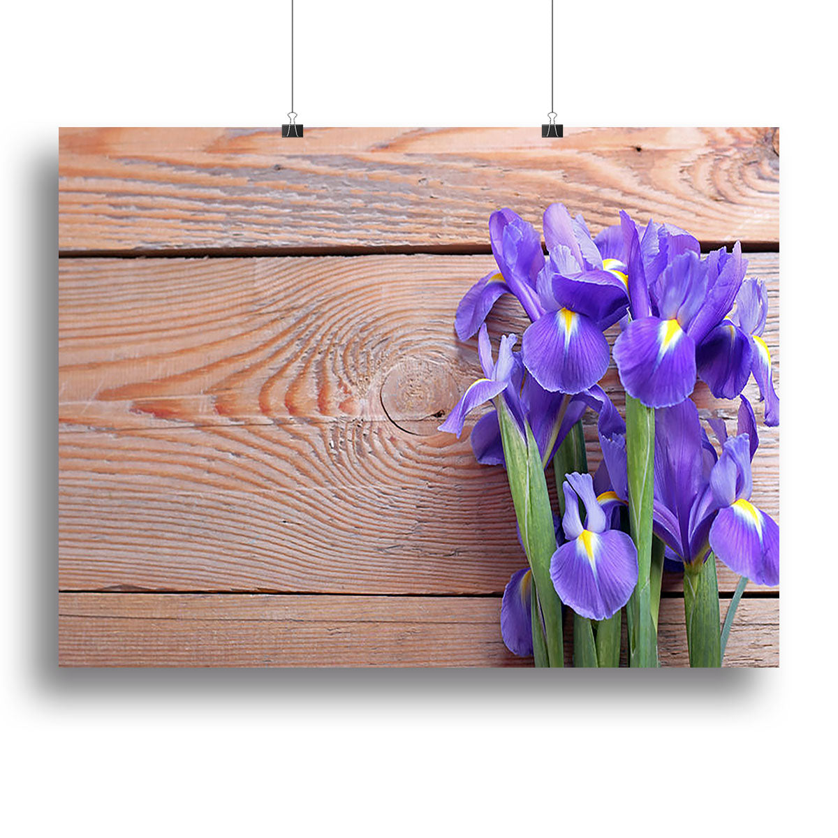 Iris on an old wooden background Poster - Unframed
