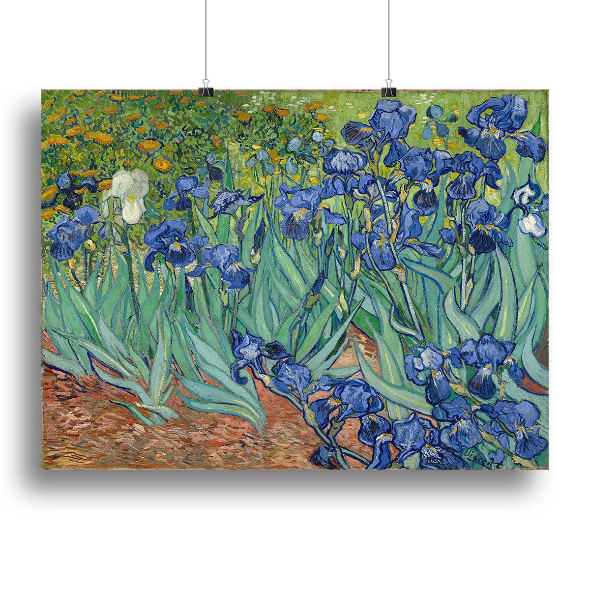 Irises by Van Gogh Poster - Unframed