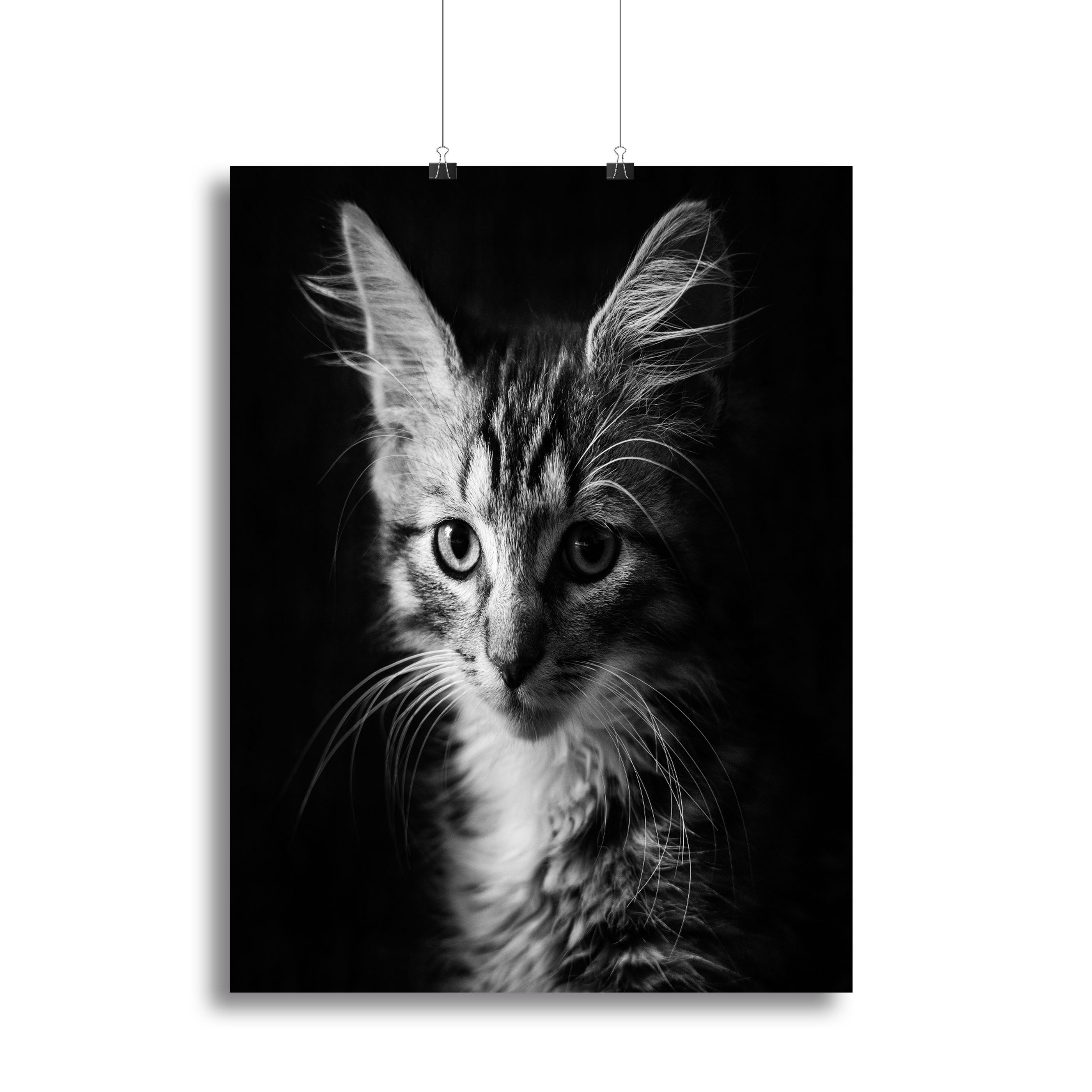 Laban Canvas Print or Poster - 1x - 2