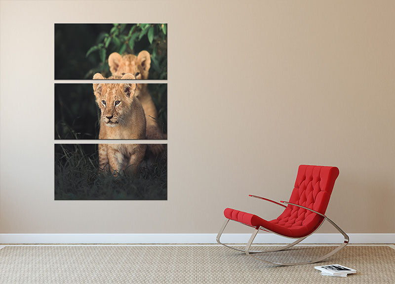 Lions Cub 3 Split Panel Canvas Print - 1x - 2