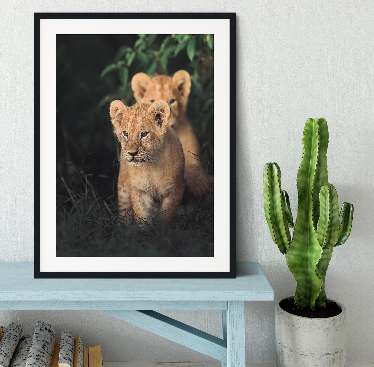 Lions Cub Framed Print - 1x - 1