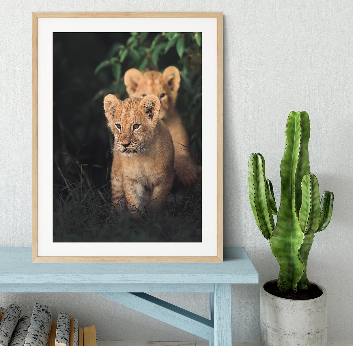 Lions Cub Framed Print - 1x - 3
