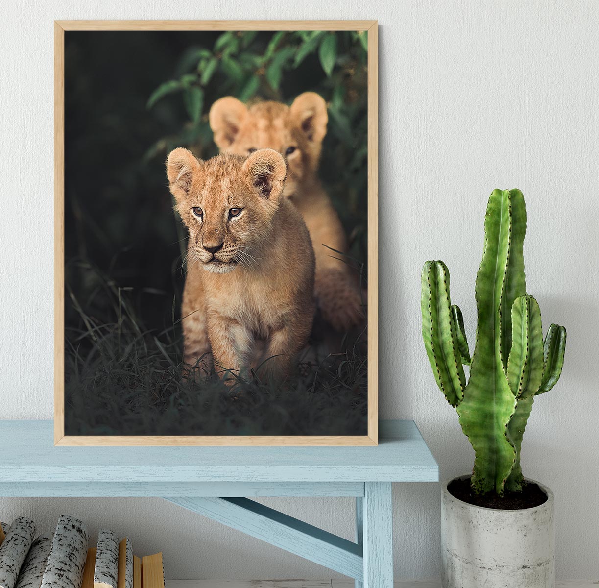 Lions Cub Framed Print - 1x - 4
