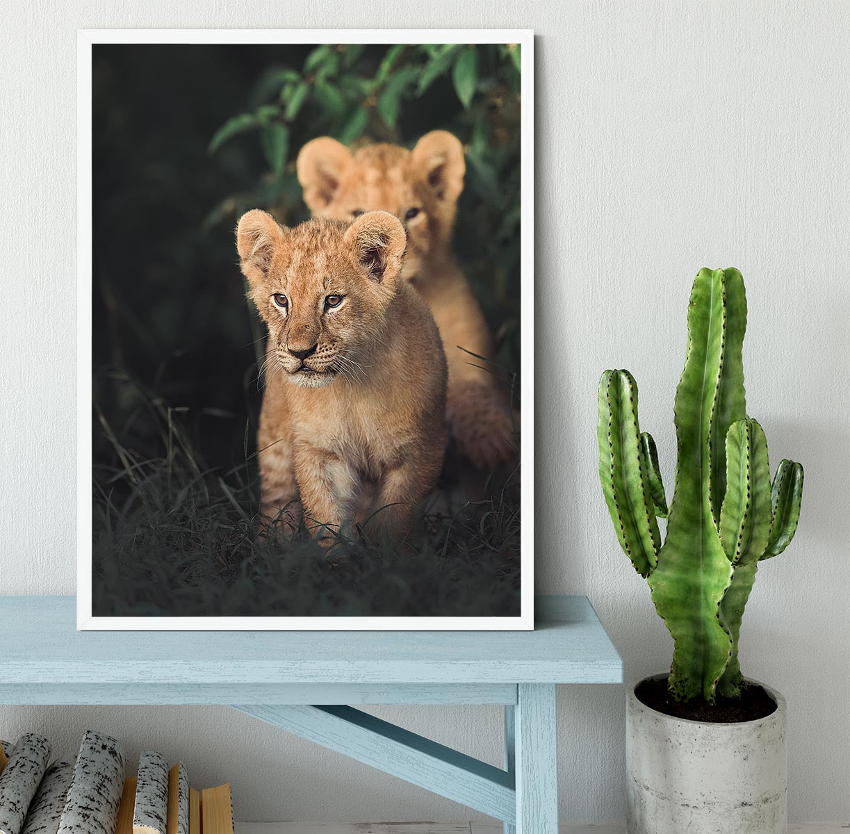 Lions Cub Framed Print - 1x -6