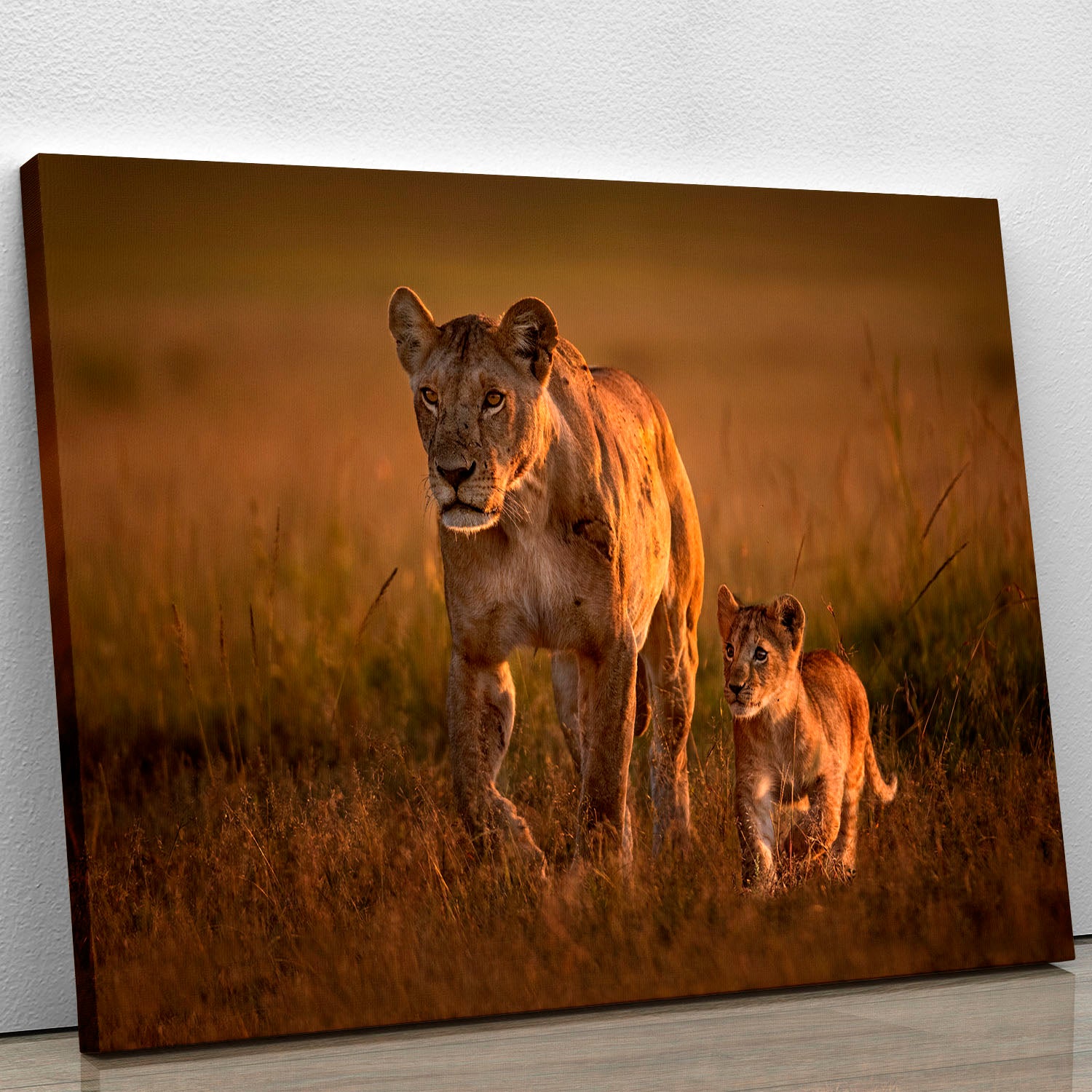 Mom lioness with cub Canvas Print or Poster - 1x - 1