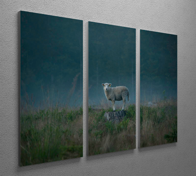 Moody sheep 3 Split Panel Canvas Print - 1x - 2