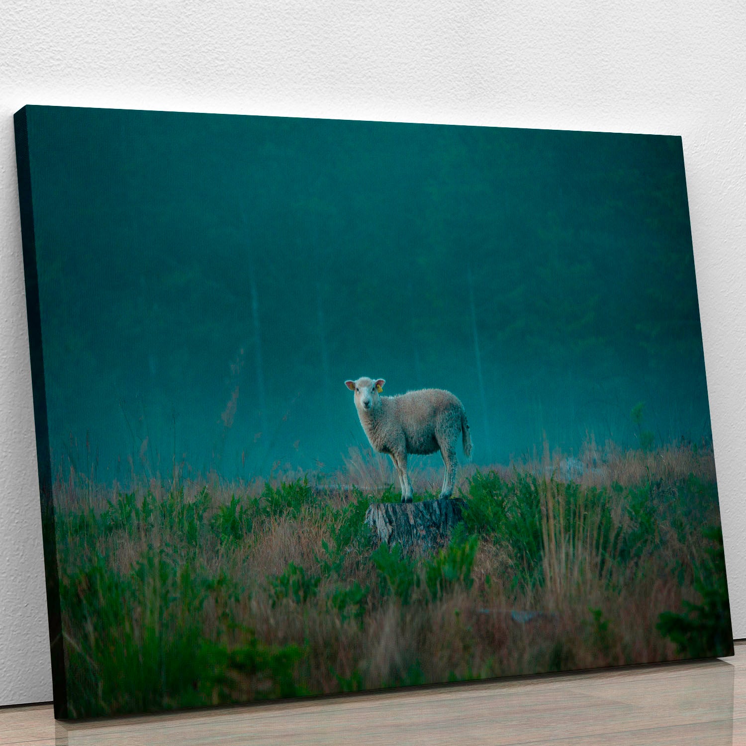 Moody sheep Canvas Print or Poster - 1x - 1