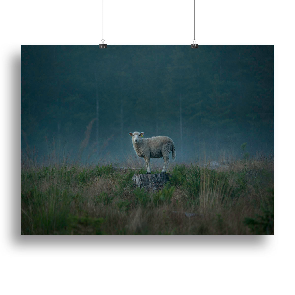 Moody sheep Canvas Print or Poster - 1x - 2