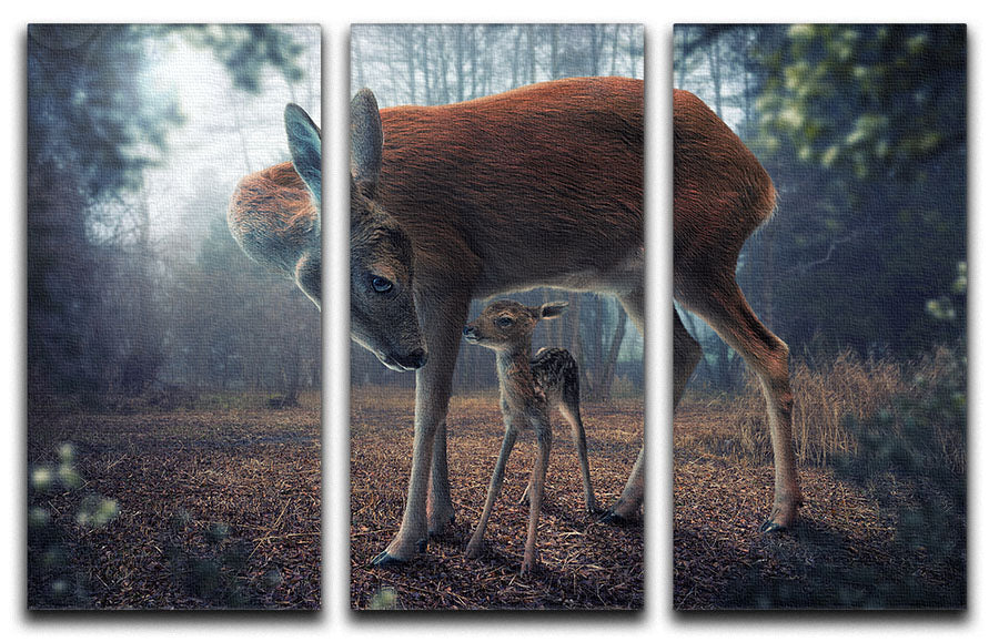 Mother and Fawn 3 Split Panel Canvas Print - 1x - 1