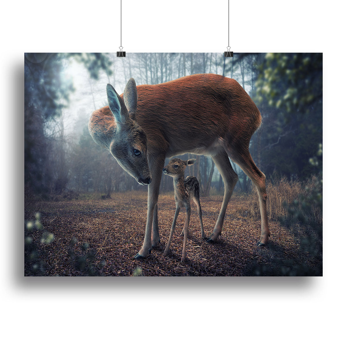 Mother and Fawn Canvas Print or Poster - 1x - 2