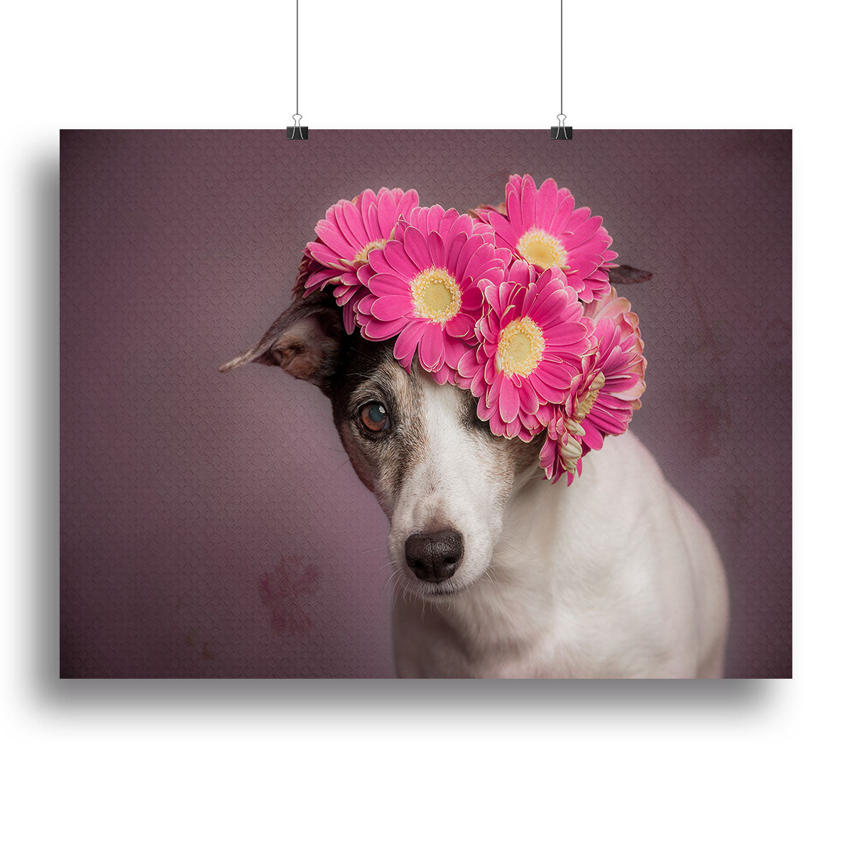 Mrs Spring Canvas Print or Poster - 1x - 2