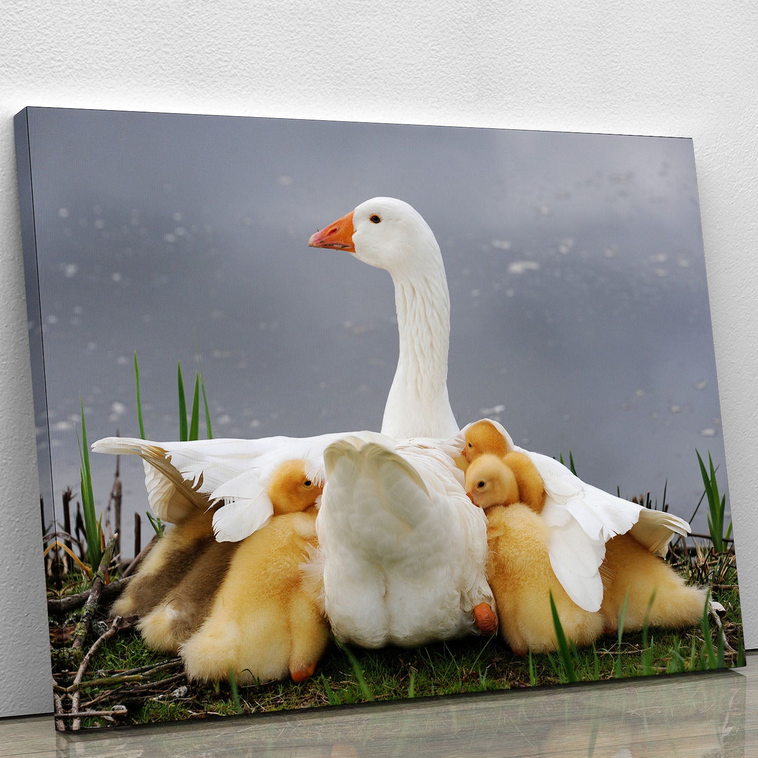 Mums protection Canvas Print or Poster - 1x - 1