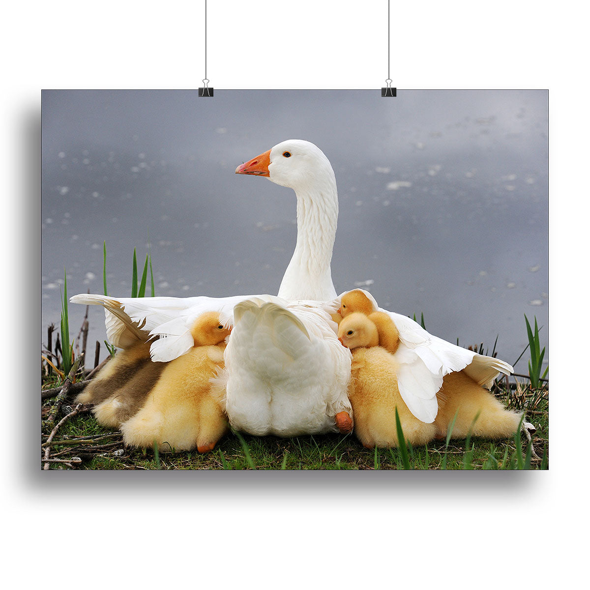 Mums protection Canvas Print or Poster - 1x - 2