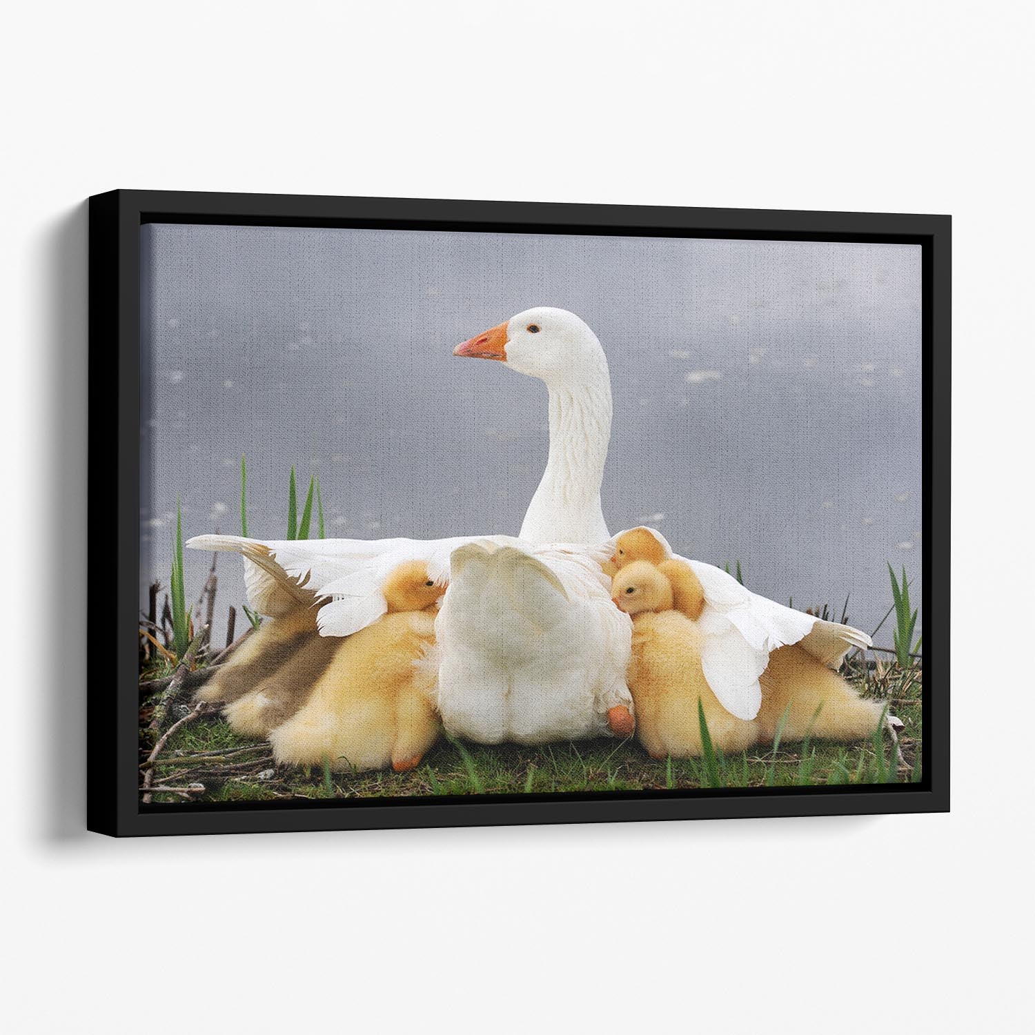 Mums protection Floating Framed Canvas - 1x - 1