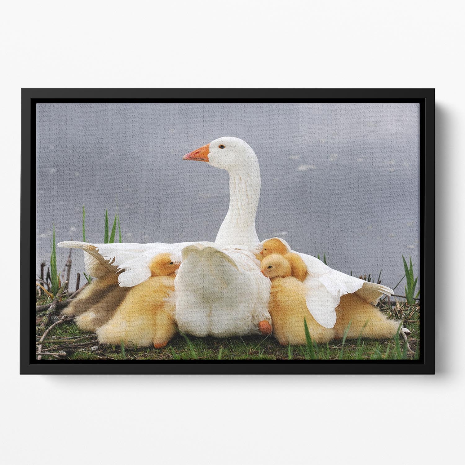 Mums protection Floating Framed Canvas - 1x - 2