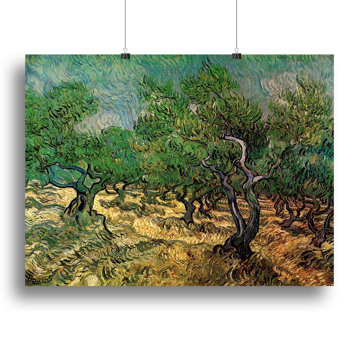 Olive Grove 2 by Van Gogh Poster - Unframed