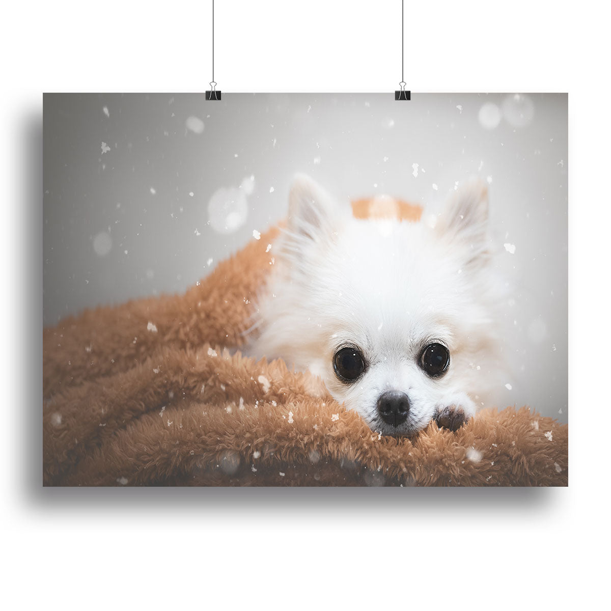 One day in winter Canvas Print or Poster - 1x - 2
