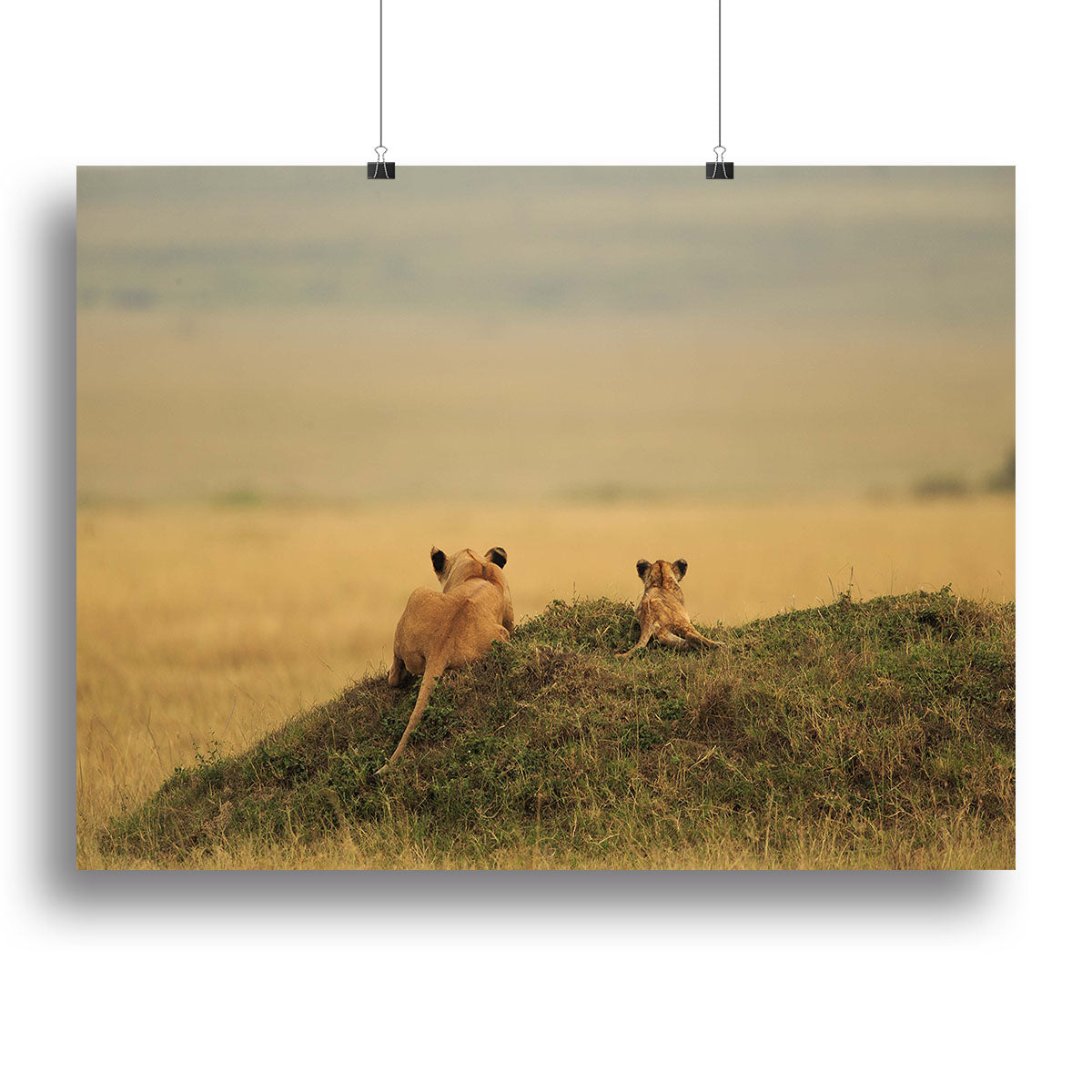 One day it will be yours Canvas Print or Poster - 1x - 2