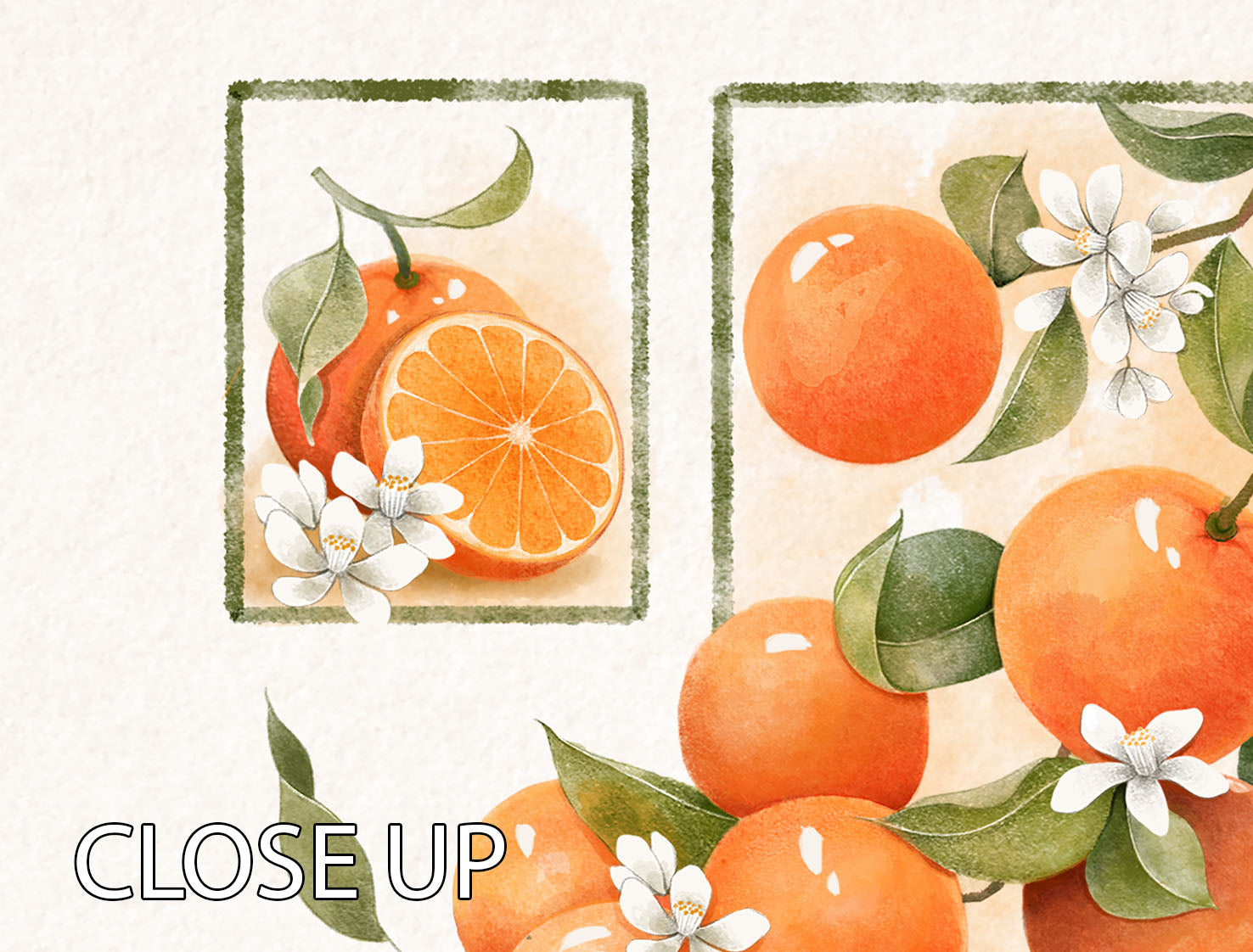 Orange Blossom Lock 3 Split Panel Canvas Print - Canvas Art Rocks - 3