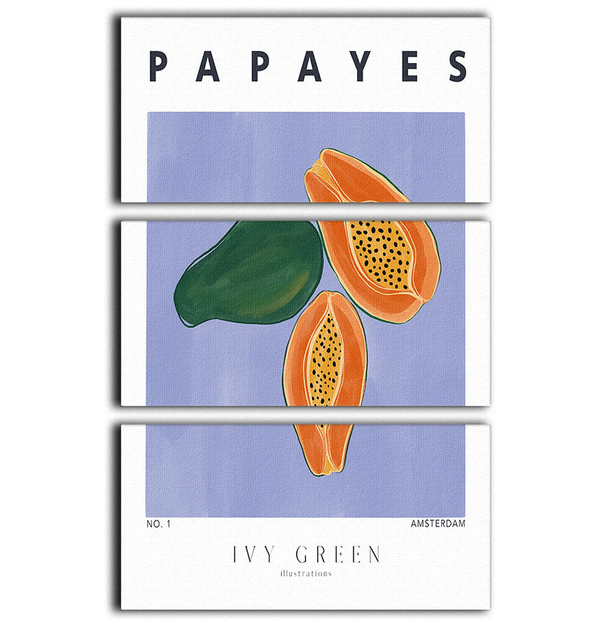 Papayes 3 Split Panel Canvas Print - Canvas Art Rocks - 1