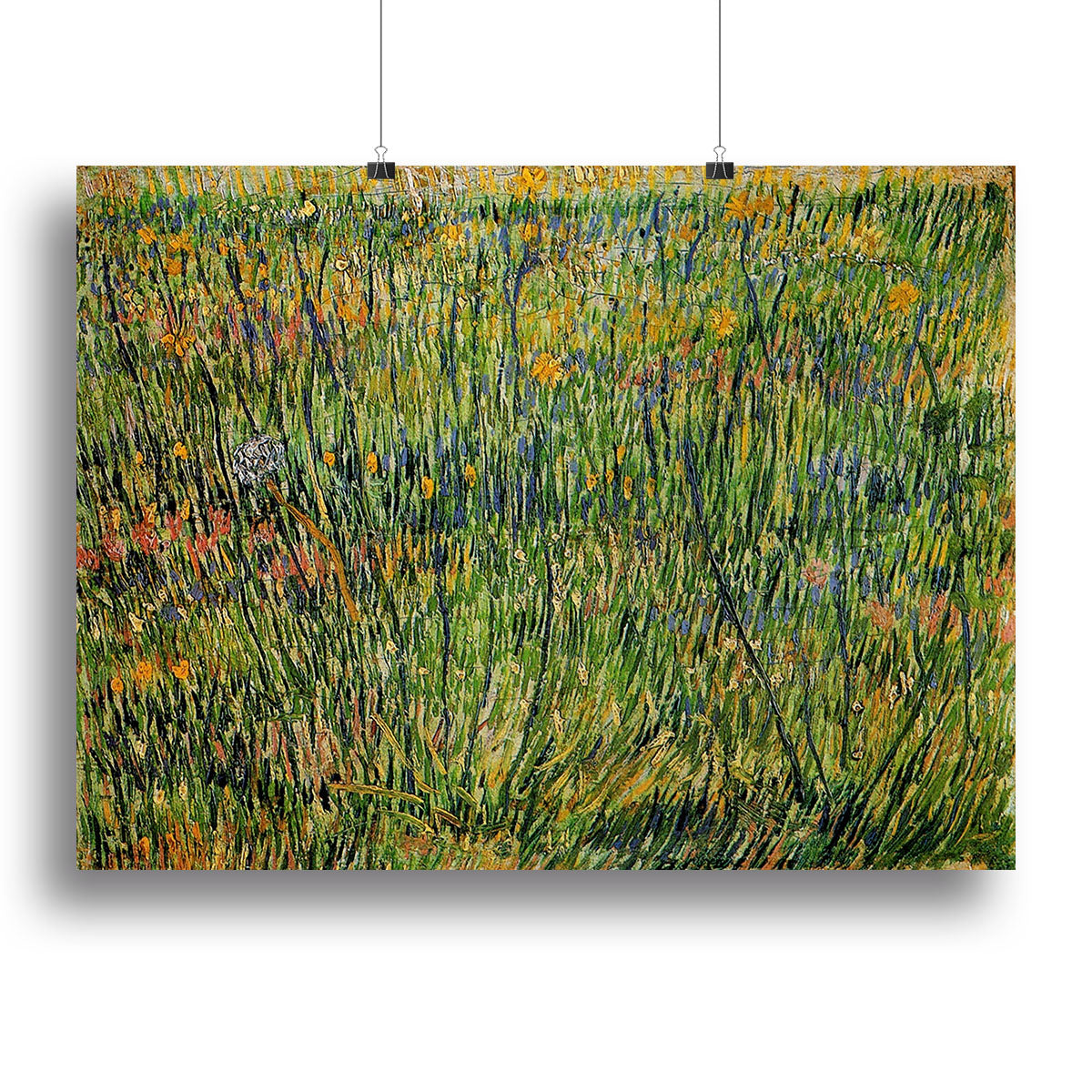 Pasture in Bloom by Van Gogh Poster - Unframed