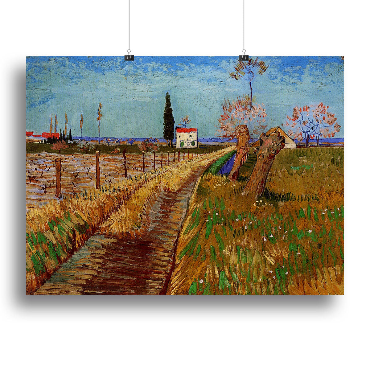Path Through a Field with Willows by Van Gogh Poster - Unframed