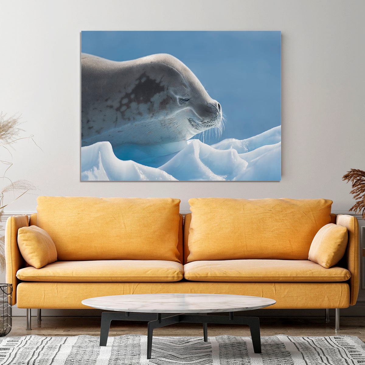 Peaceful Seal Canvas Print or Poster - 1x - 4