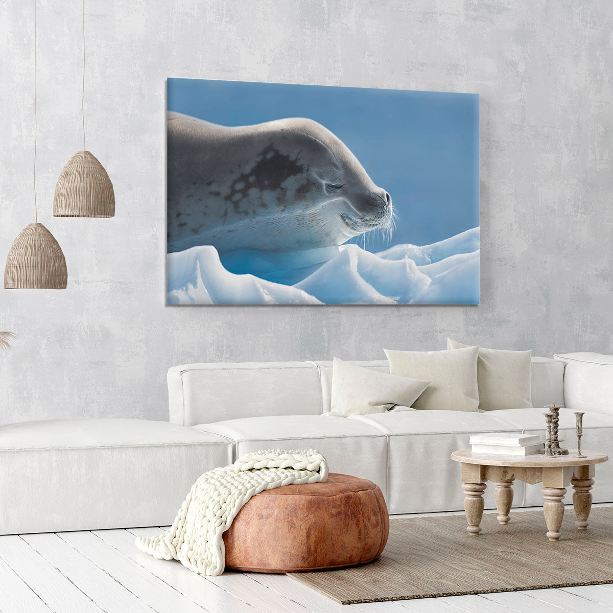 Peaceful Seal Canvas Print or Poster - 1x - 6