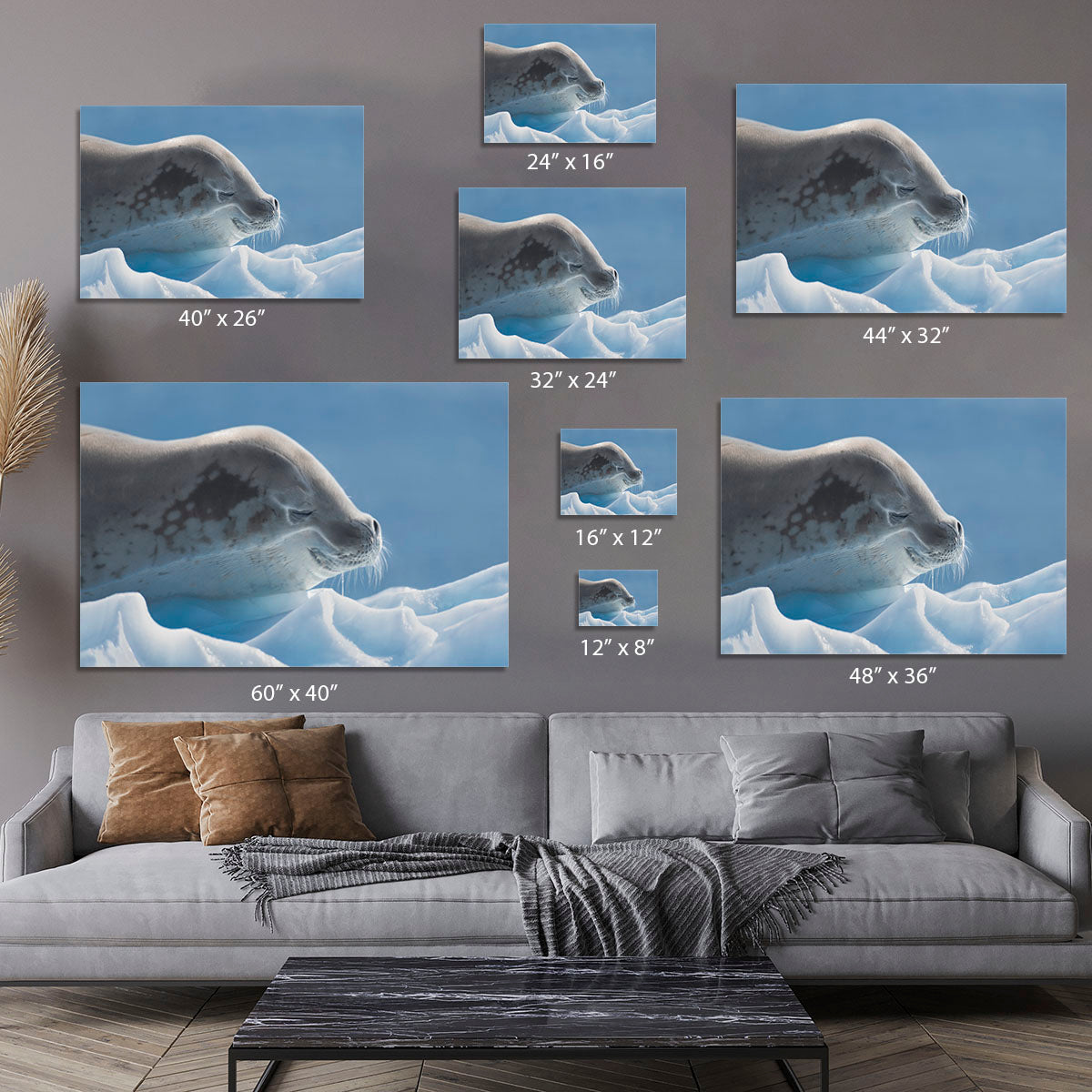 Peaceful Seal Canvas Print or Poster - 1x - 7