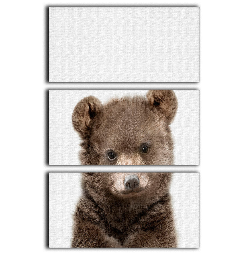 Peekaboo Baby Bear 3 Split Panel Canvas Print - 1x - 1