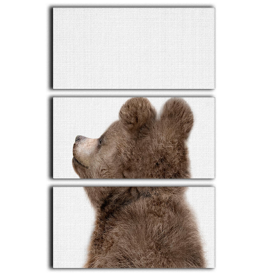 Peekaboo Baby Bear Back 3 Split Panel Canvas Print - 1x - 1