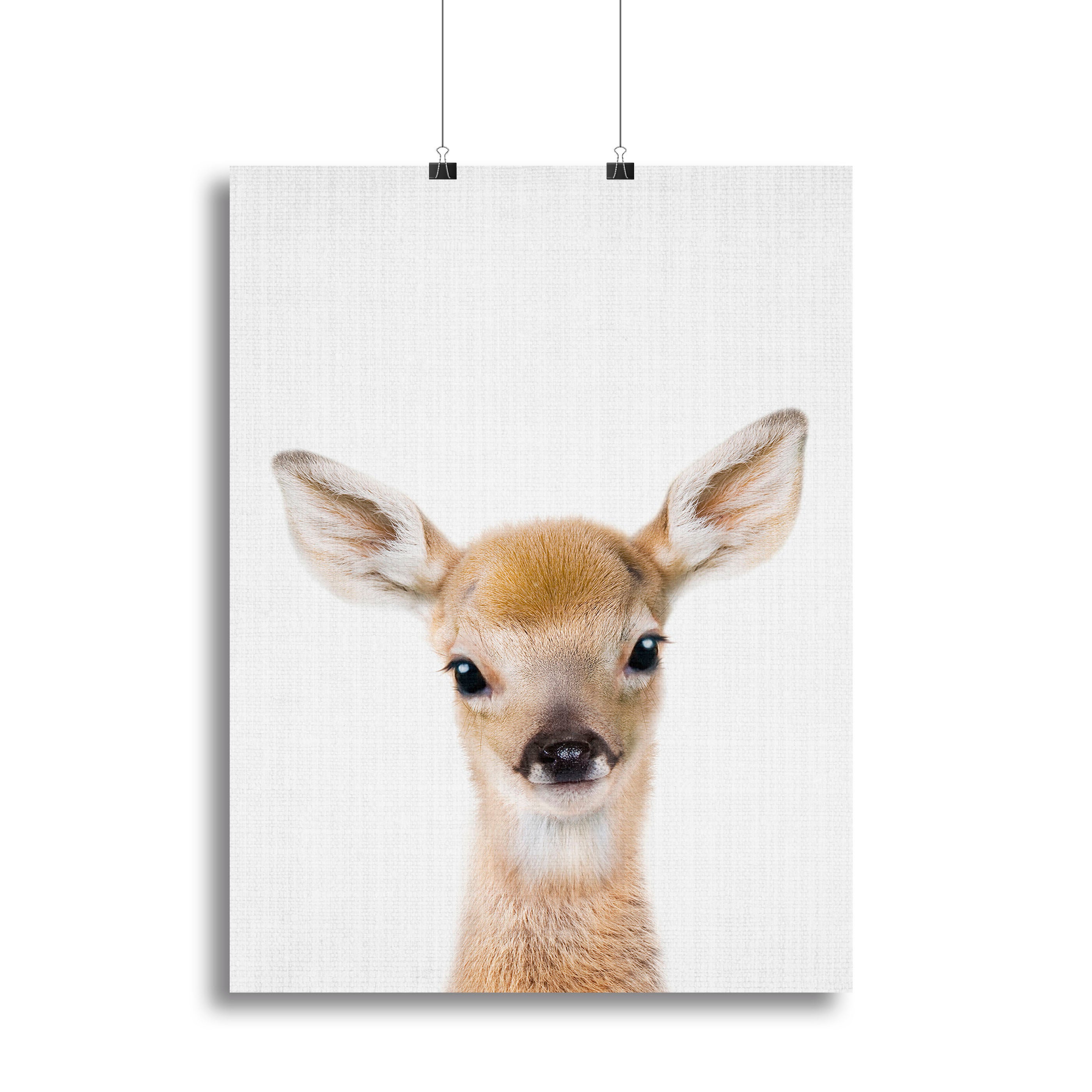 Peekaboo Baby Deer Canvas Print or Poster - 1x - 2
