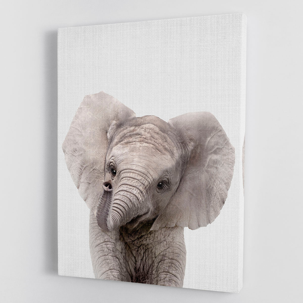 Peekaboo Baby Elephant Canvas Print or Poster - 1x - 1