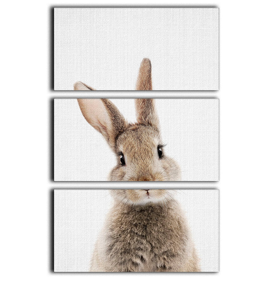Peekaboo Bunny 3 Split Panel Canvas Print - 1x - 1