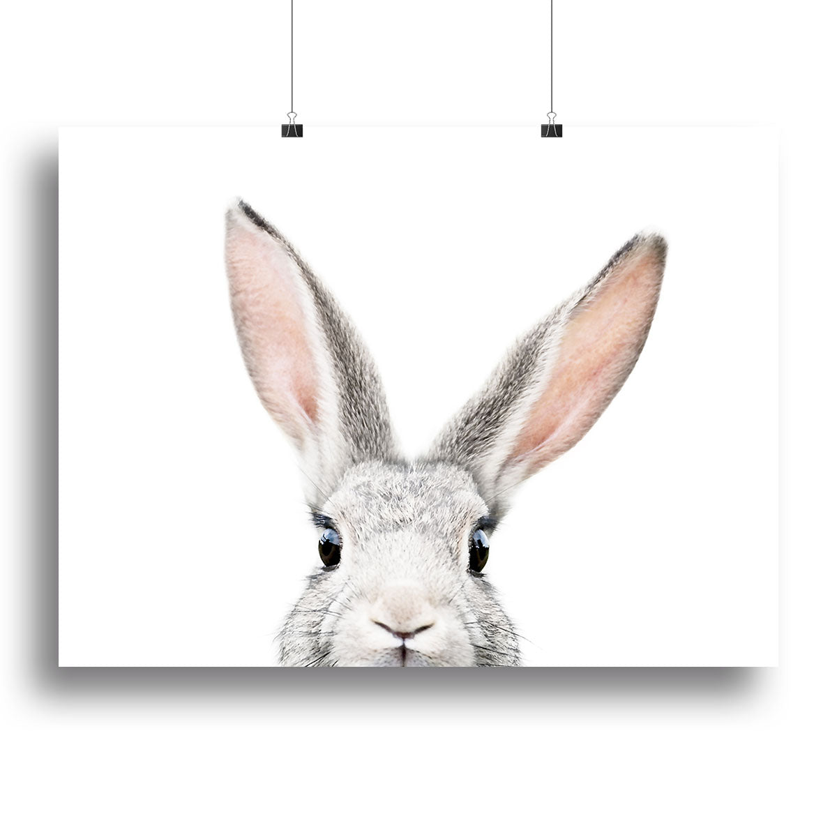 Peeking Bunny Canvas Print or Poster - 1x - 2