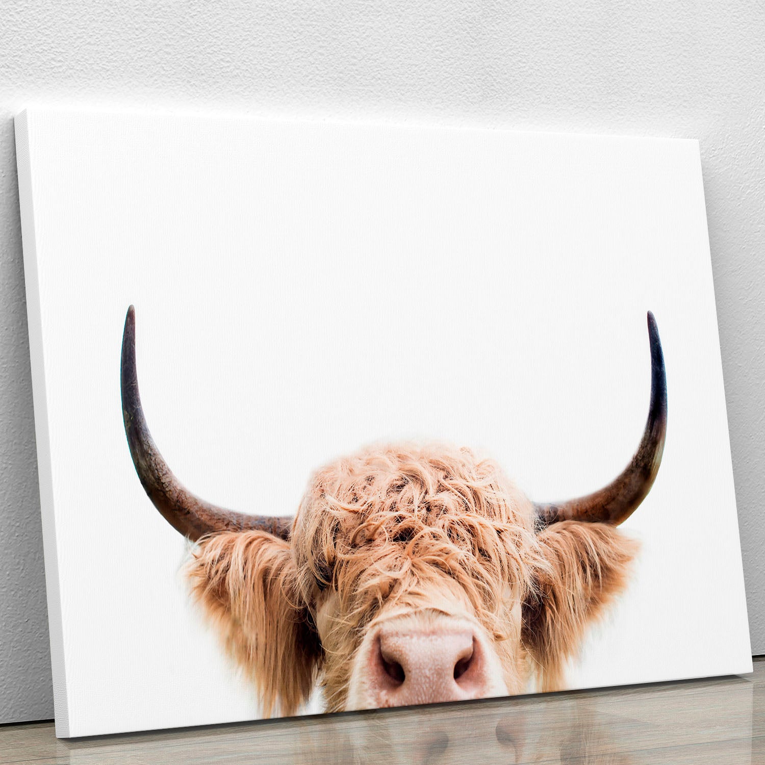 Peeking Cow Canvas Print or Poster - 1x - 1