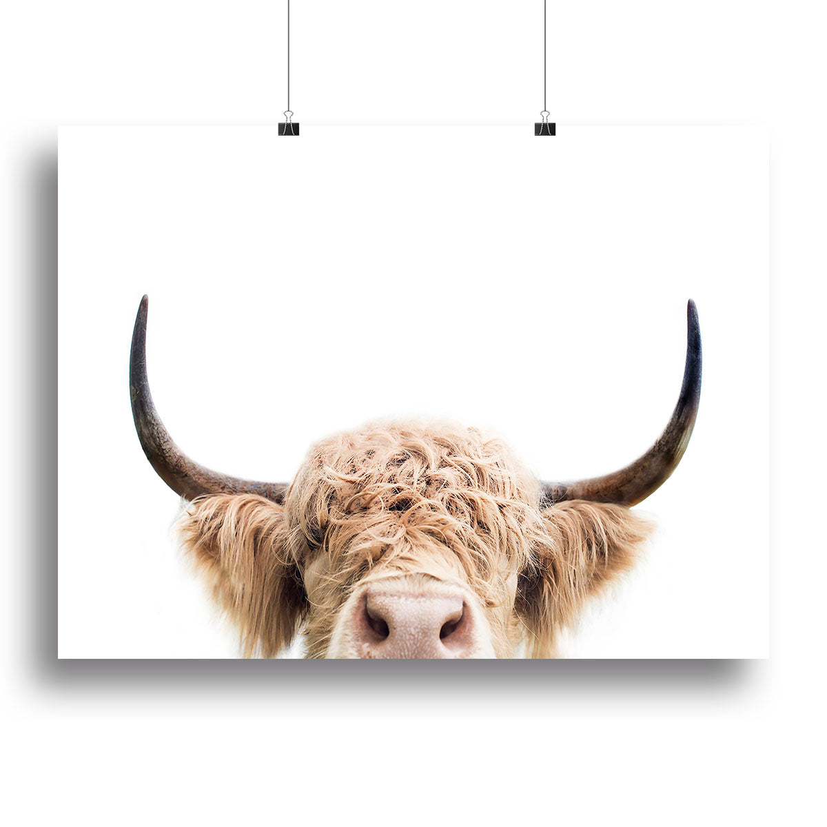 Peeking Cow Canvas Print or Poster - 1x - 2