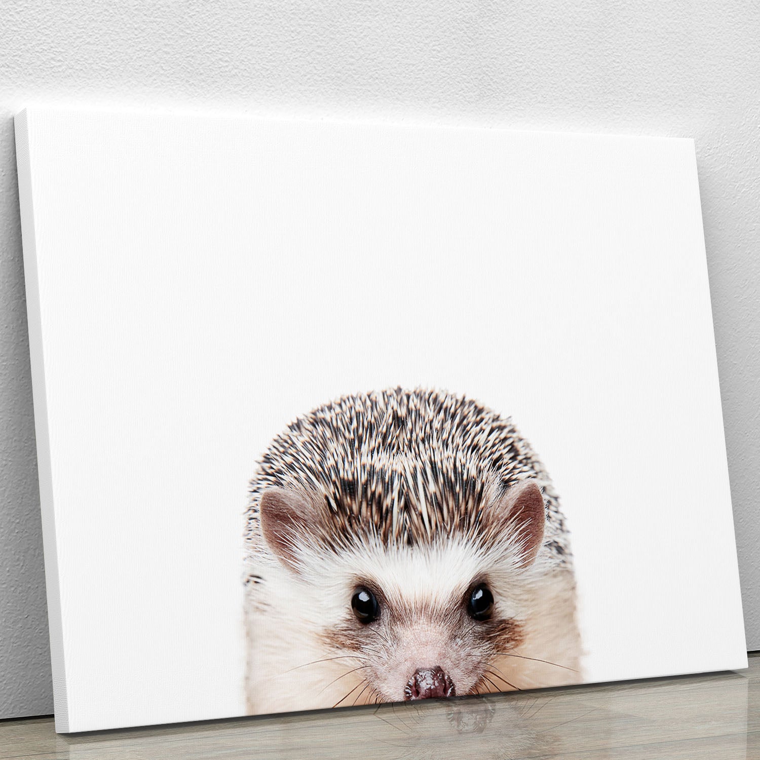 Peeking Hedgehog Canvas Print or Poster - 1x - 1