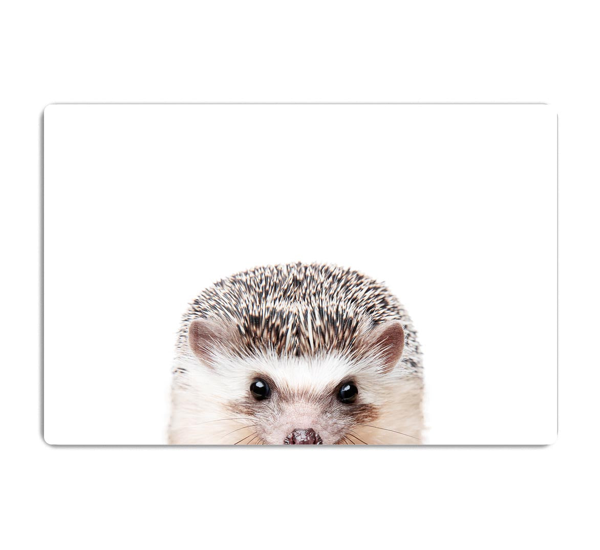 Peeking Hedgehog Acrylic Block - 1x - 1