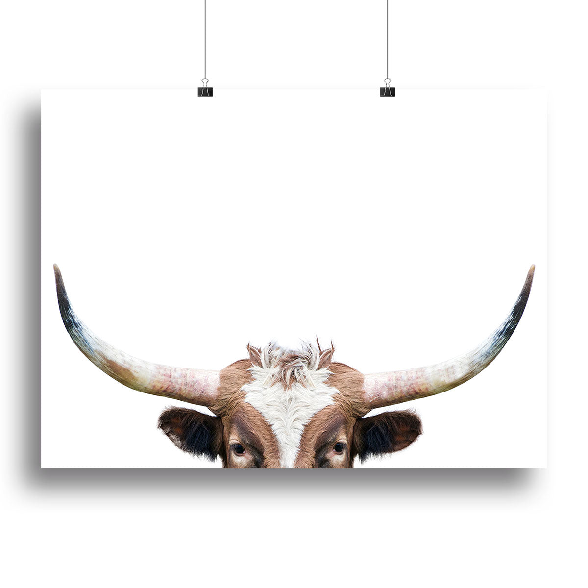 Peeking Longhorn Cow Canvas Print or Poster - 1x - 2