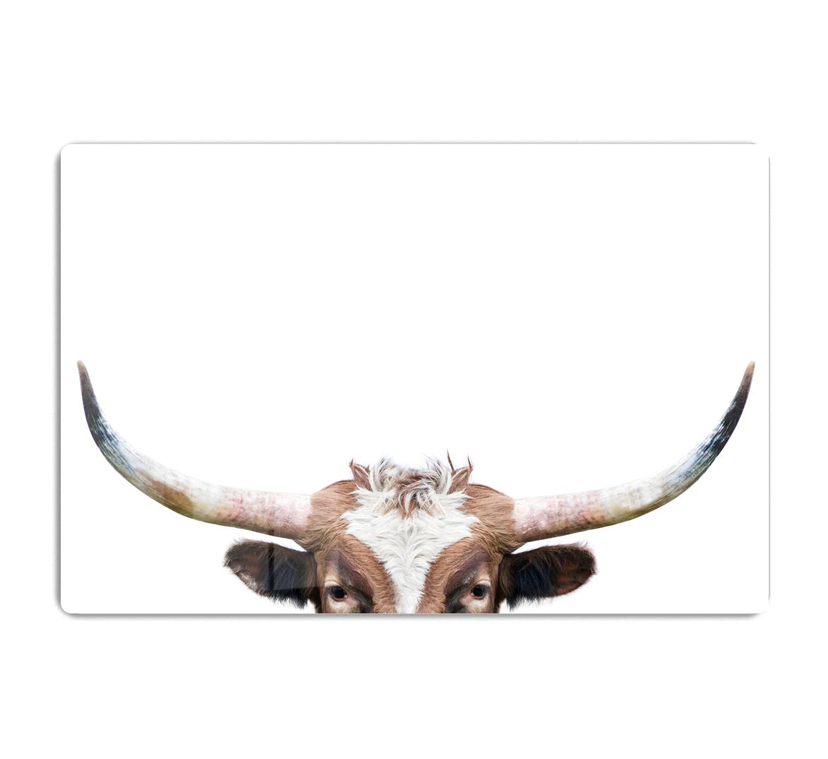 Peeking Longhorn Cow Acrylic Block - 1x - 1