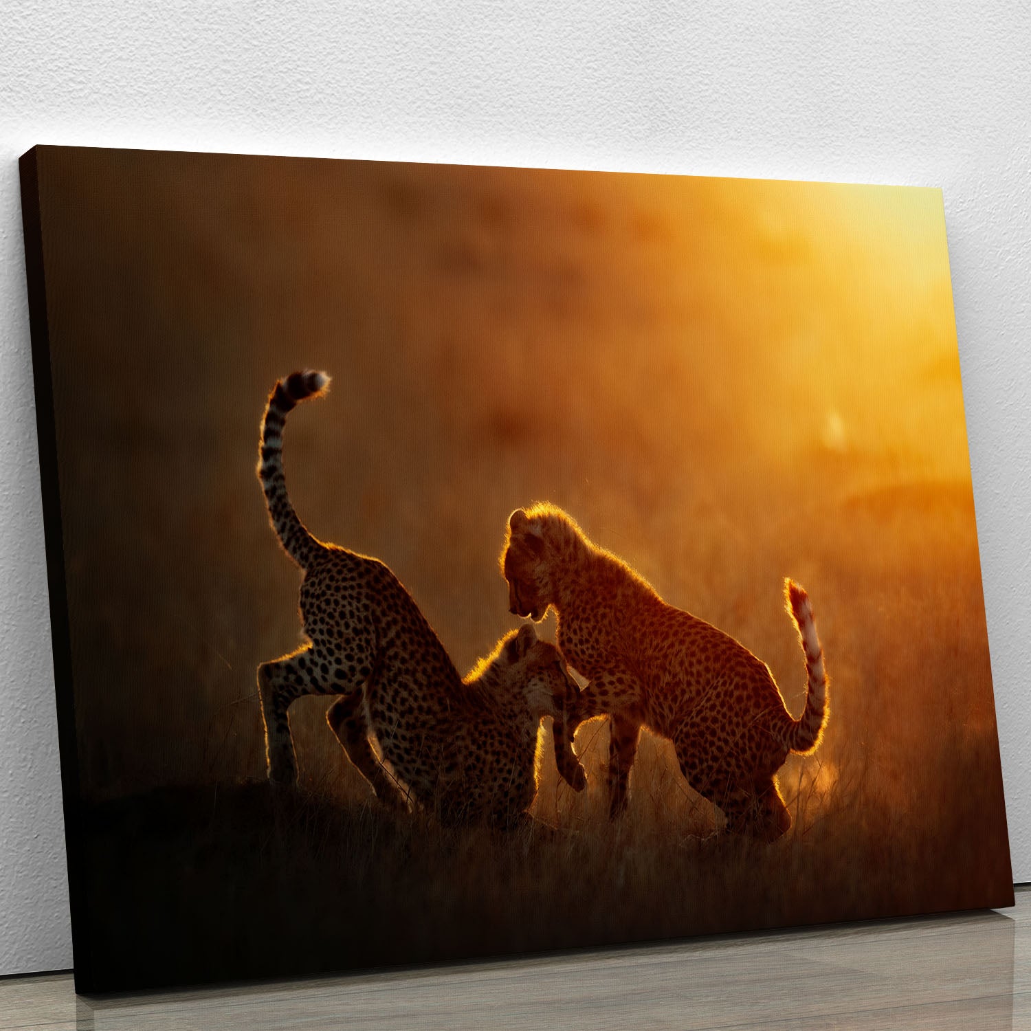 Playing at sunrise Canvas Print or Poster - 1x - 1