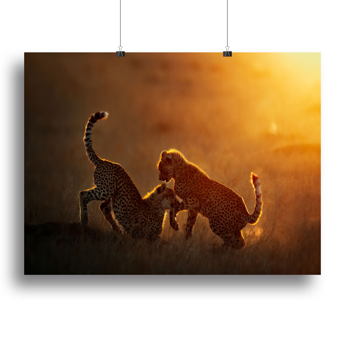 Playing at sunrise Canvas Print or Poster - 1x - 2