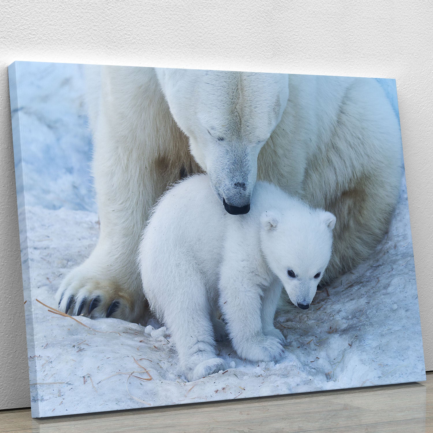 Polar bear Mother Canvas Print or Poster - 1x - 1