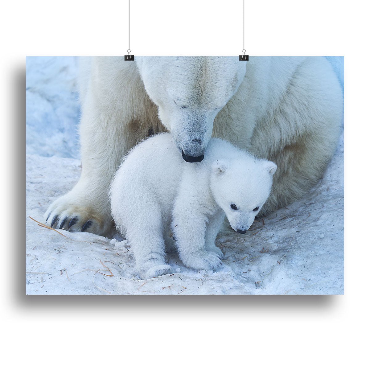 Polar bear Mother Canvas Print or Poster - 1x - 2