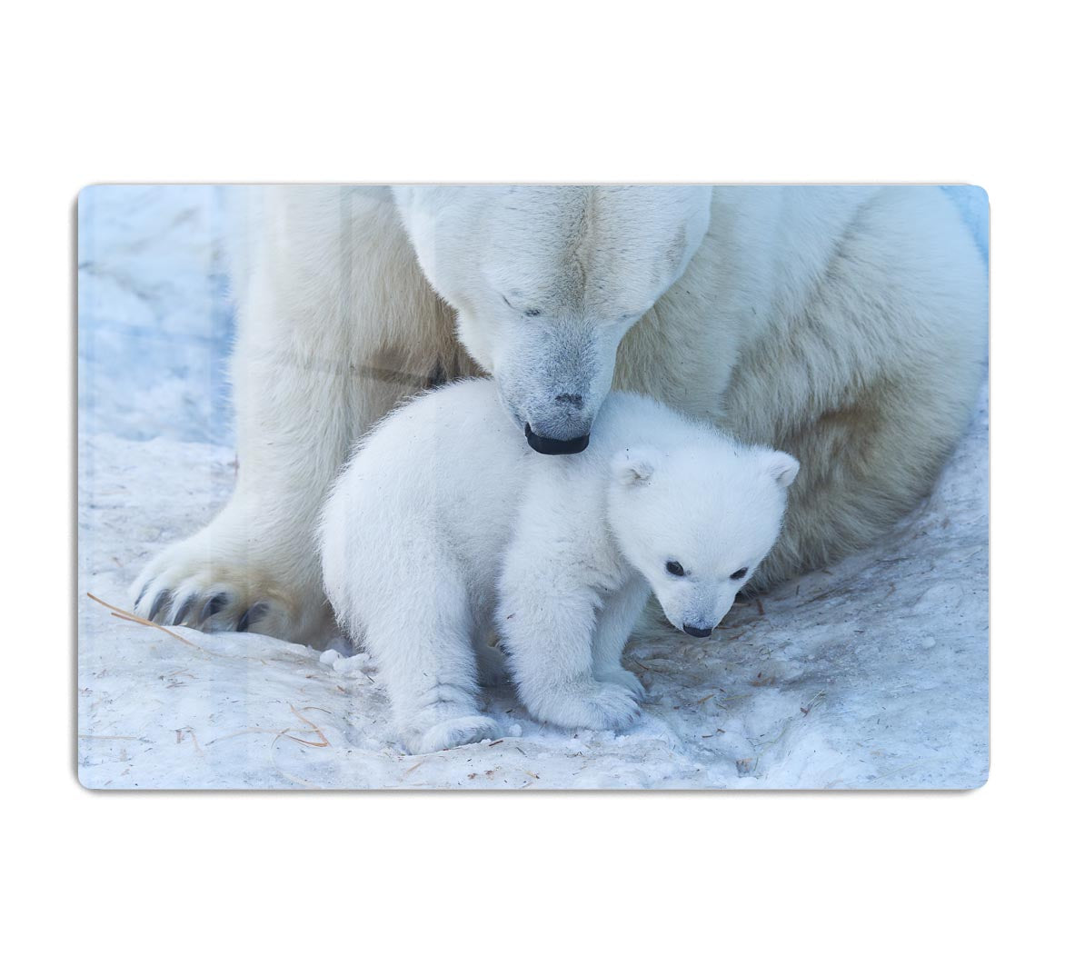 Polar bear Mother Acrylic Block - 1x - 1