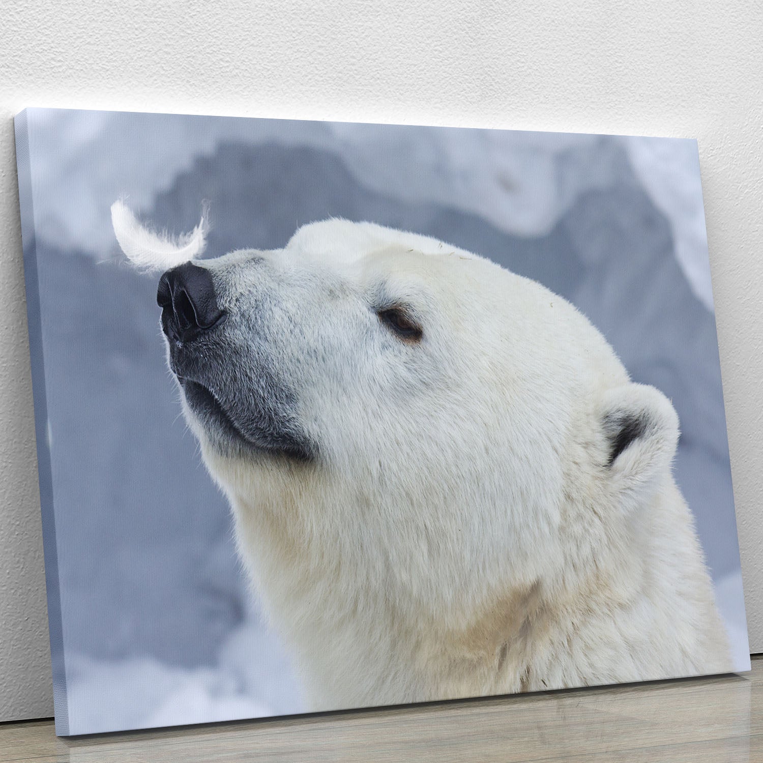 Polar bear White Canvas Print or Poster - 1x - 1